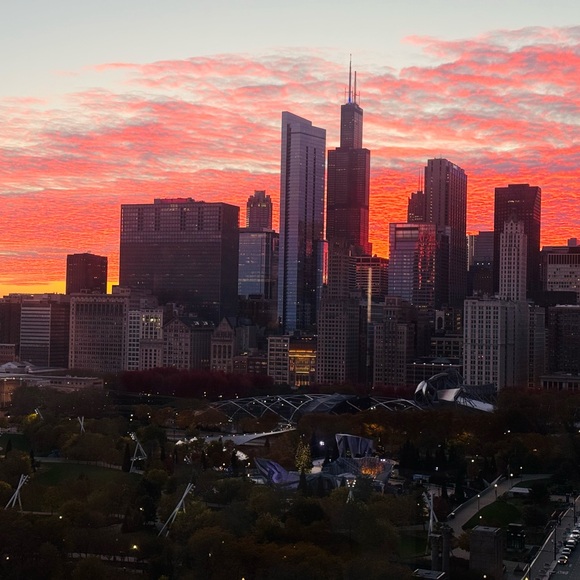 Meet your Posher, Amelia - Picture 1 of 1